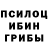 Псилоцибиновые грибы мицелий sasha cuc