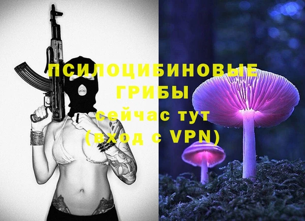 винт Бородино