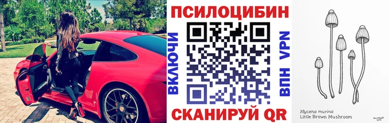 продажа наркотиков  Йошкар-Ола  darknet состав  Псилоцибиновые грибы Magic Shrooms 