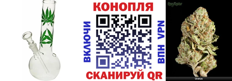 купить наркотик  Йошкар-Ола  Шишки марихуана семена 